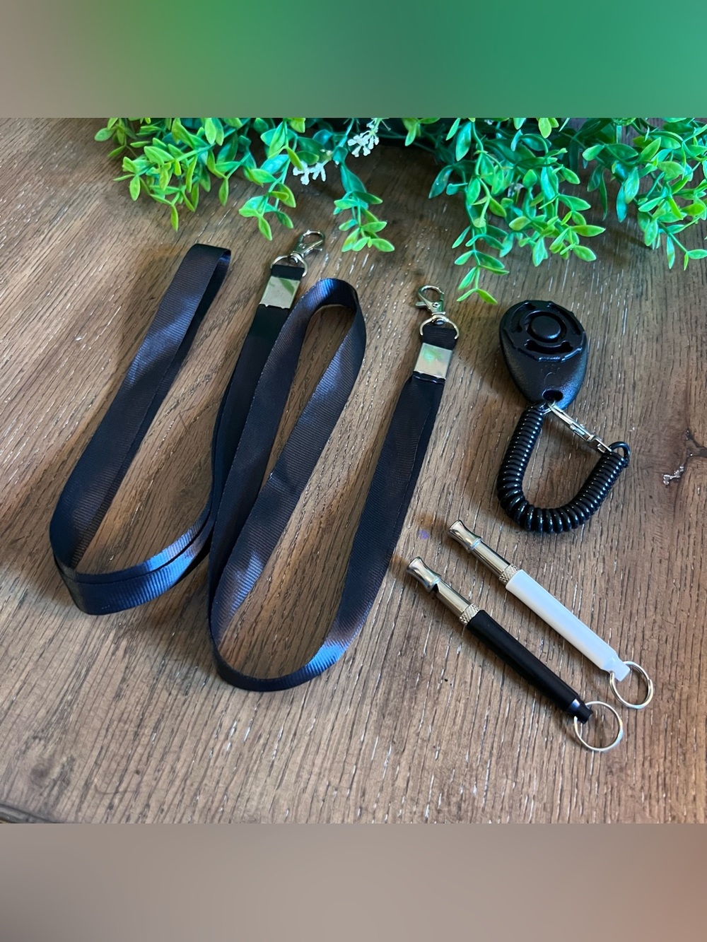 Dog Whistle Training Barking Stop